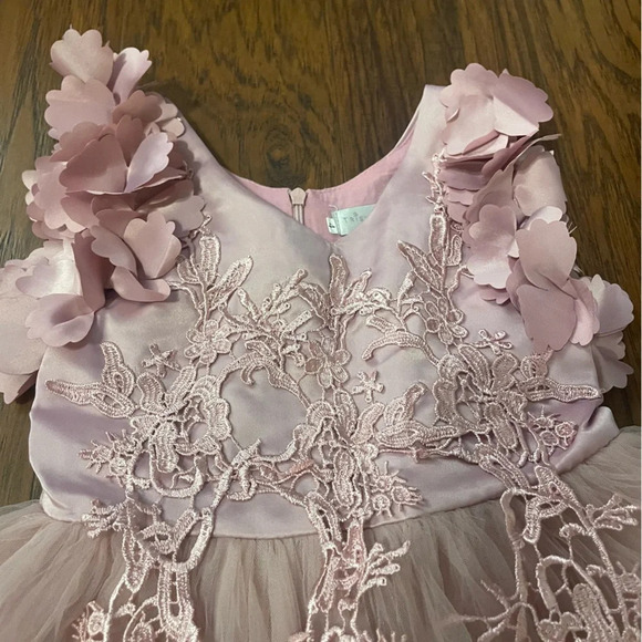 Trish Scully Bianca Gown in Rose, Size 4, Lace, Tulle , Formal, Floor Length - Picture 6 of 11